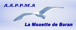 La Mouette de Boran