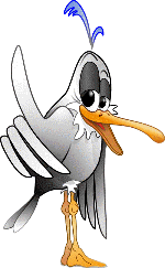 La Mouette de Boran